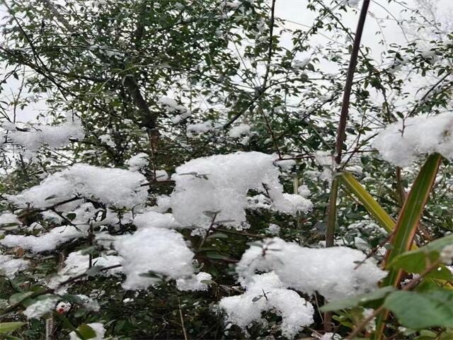 夜场推广策略：精准营销、活动策划和口碑营销